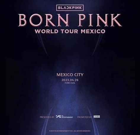 World Tour Poster, Born Pink Tour, Entertainer Of The Year, Tour Poster, List Of Countries, Pink Tour, Born Pink World Tour, Song Joong, Rose Park