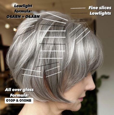 Redken Shades Grey Blending, Grey Toners Redken, Lowlights Placement, Redken Shades Gray Formula, Jack Martin Colorist Gray Formula, Shades Eq Grey Blending Formula, Redken Grey Color Formulas, Silver Hair Color Formula, Matrix Hair Color