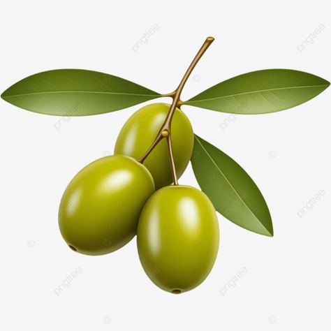 realistic ripe green olives with leaves illustration element olives png Olive Clipart, Element Illustration, Leaves Illustration, Transparent Image, Green Olives, Image Hd, Png Transparent, Free Png, Png Images