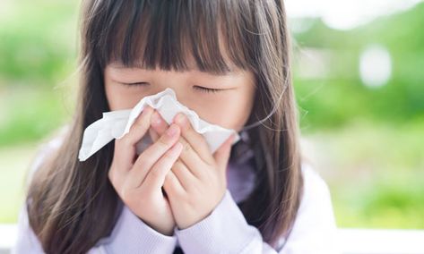 Allergies Vs Cold, Common Cold Symptoms, Seasonal Allergy Symptoms, Chest Infection, Good Gut Bacteria, Upset Tummy, Health Newsletter, Cold Or Allergies, Kids Allergies