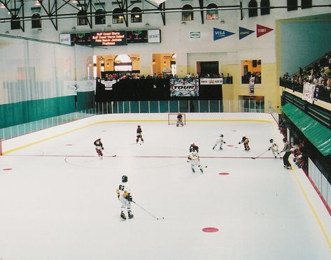 Backyard Hockey Rink, Hockey Room, Inline Hockey, Track Roller, Inline Skate, Skating Rink, Roller Girl, Inline Skating, Roller Derby