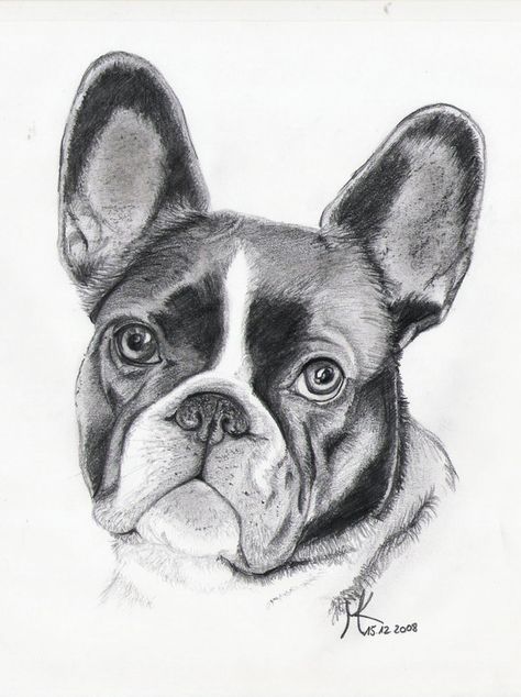 French Bulldog Drawing French Bulldog Drawing, Bulldog Drawing, French Bulldog Tattoo, Boston Terrier Art, Bulldog Tattoo, Dog Drawings, French Bulldog Art, Tattoos Inspiration, Hand Drawings