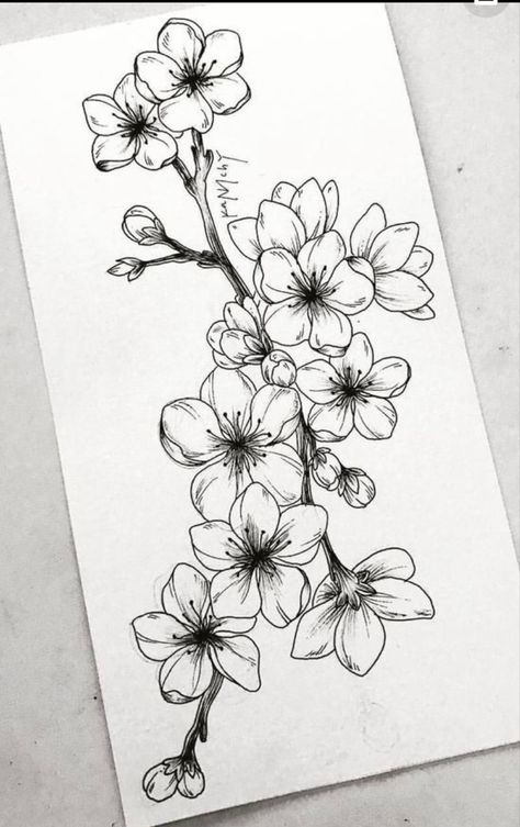 Cherry Blossom Tattoo Shoulder, Cherry Blossom Drawing, Blossom Tree Tattoo, Draw Flowers, Blossom Tattoo, Cherry Blossom Tattoo, Floral Tattoo Design, Easy Flower, Cute Tattoos For Women