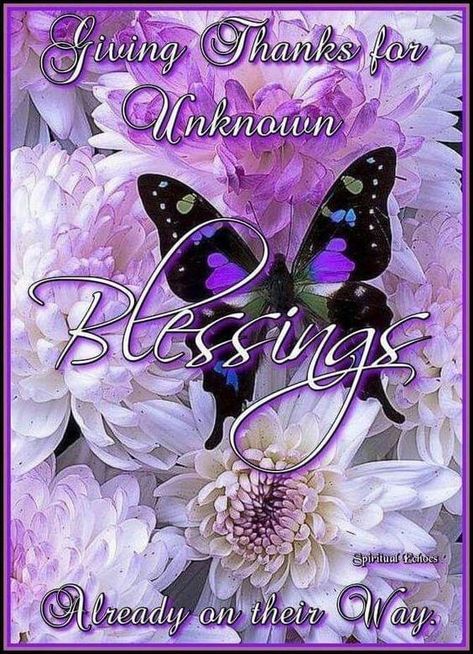 Gracefully Quotes, Butterfly Blessings, Divine Inspiration And Prayers, Blessed Monday, Psalm 91 Prayer, Morning Family, Strong Black Woman Quotes, Praising God, Words To Live By Quotes