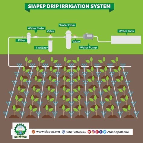 Drip Irrigation System Design, Irrigation System Design, Irrigation Diy, Drip Irrigation Diy, Raised Garden Beds Diy Vegetables, Garden Watering System, Water Irrigation, Vegetable Garden Diy, Drip Irrigation System