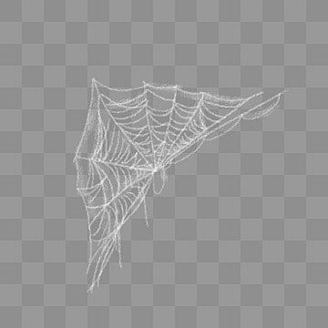 Spiderman Web Wings, Spider Web Png Transparent, Spider Web Png, Png No Background, Spider Net, Real Spiders, Web Spider, Green Leaf Background, White Spider