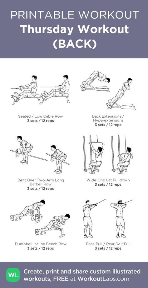 45min Workout, Back Workout Men, Thursday Workout, Back And Bicep Workout, Workout Back, Workout Labs, Printable Workout, Monday Workout, Reps And Sets