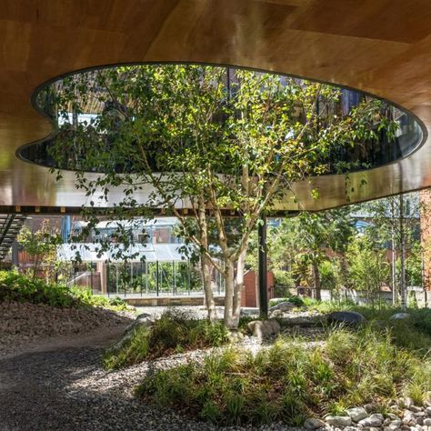 Rehabilitation Center Architecture, Biophilic Architecture, Architecture Courtyard, Courtyard Design, Architecture Wallpaper, Biophilic Design, Rehabilitation Center, Container Design, Timber Cladding