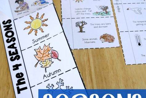 4 Seasons Flip Book {2 FREE Levels} Seasons Flip Book, Year 2 Maths, Second Grade Science, Education Post, Water Cycle, An Education, Year 2, 4 Seasons, Flip Book