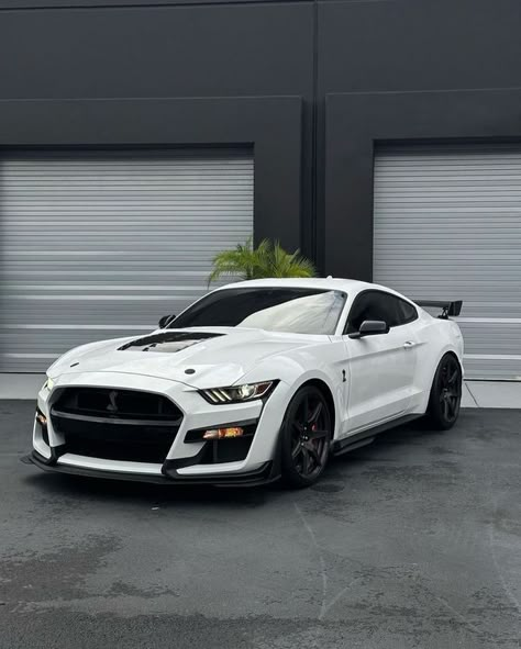 White Mustang Gt, White Ford Mustang, Mustang Shelby Gt 500, White Mustang, Sports Cars Mustang, Mobil Mustang, Mustang Wallpaper, Mustang Ecoboost, Ford Mustang Cobra