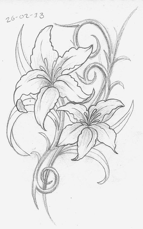 Lily Tattoo Designs, Rasta Tattoo, Stargazer Lily Tattoo, Drawing Of Flowers, Water Lily Tattoos, Floral Back Tattoos, Glass Drawing, Lillies Tattoo, Lily Tattoo Design