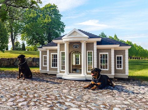 Luxury Dog House Mansions, Bad Bedroom, Air Conditioned Dog House, Fancy Dog Houses, Dog Mansion, Under Stairs Dog House, Big Dog House, Dogs Supplies, Luxury Dog House