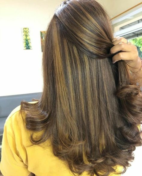 Hair Streaking Ideas Highlights, Global Hair Color With Highlights, Global Highlights Hair Indian, Indian Hair Color Highlights, Global Hair Colour For Indian Skin, Hair Highlights For Black Hair, Hair Colour For Indian Skin, Global Highlights, Indian Hair Highlights