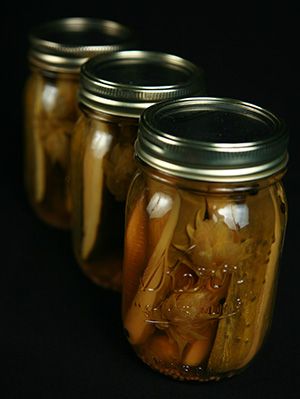 Hoppy IPA Beer Pickles - using fresh hops!  SO good, and I don't even like beer! Sterilizing Canning Jars, Pina Colada Rum, Flavored Beer, Pickles Recipe, Humulus Lupulus, Cooking With Beer, Ipa Beer, Beer Day, Beer Recipes