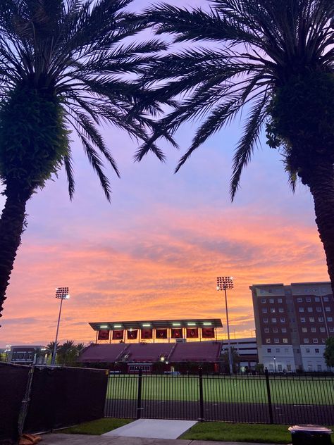 Pretty Colleges, University Of Tampa Aesthetic, University Of Florida Aesthetic, University Of Southern California Aesthetic, Uf Campus, University Of Miami Campus, Florida University, Fsu Vs Uf, University Of Tampa