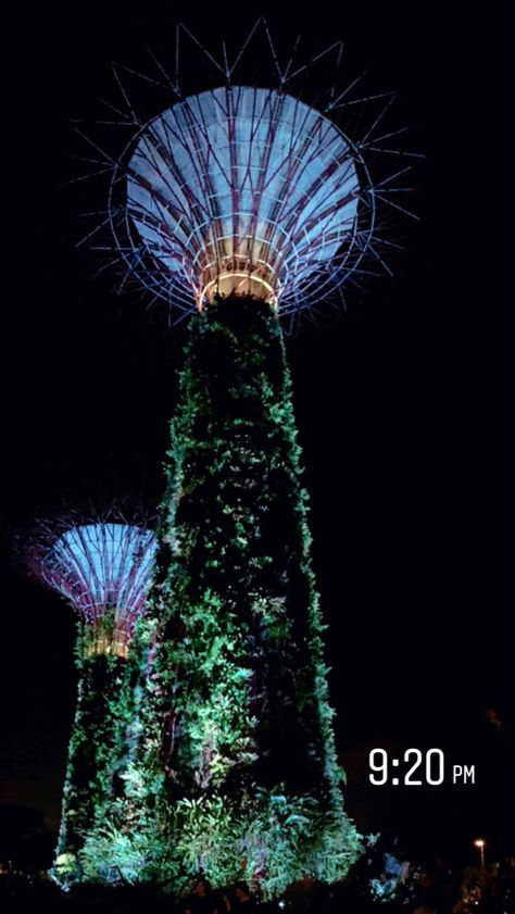 #aesthetic #gardensbythebay #singapore #asia #travel #photography #tourist #scenery #holiday #vacation #igstory Singapore Ig Story, Singapore Instagram Story, Singapore Vacation, Gardens By The Bay, Vacation Photos, Stories Ideas, Holiday Vacation, Story Highlights, Space Needle