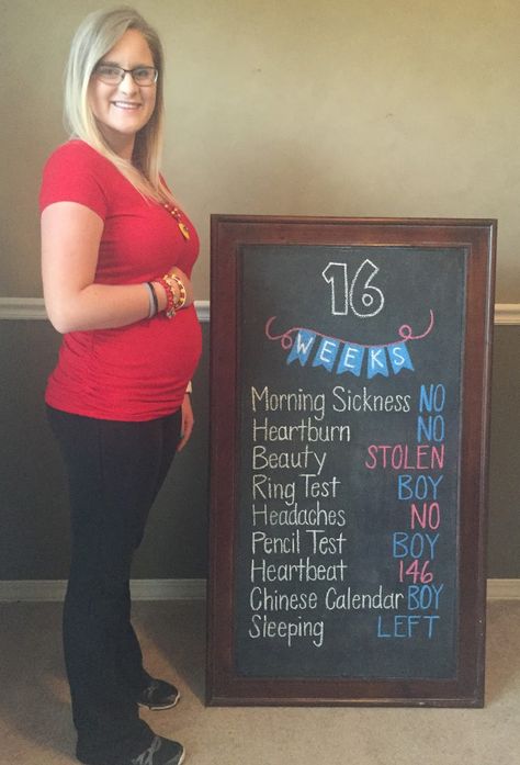 16 weeks pregnancy chalkboard gender reveal 15 Weeks Pregnant Belly, 30weeks Pregnant Belly, 31 Weeks Pregnant Belly, Ten Weeks Pregnant Belly, 37 Weeks Pregnant Belly, Timeline Ideas, 15 Weeks Pregnant, 16 Weeks Pregnant, Weekly Pregnancy Chalkboard