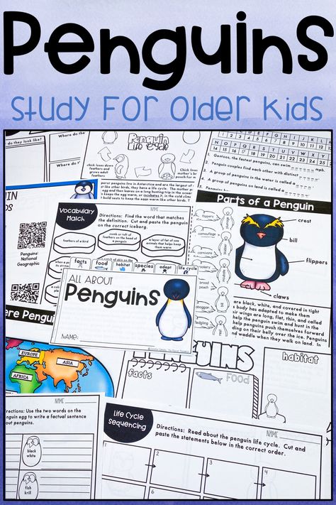 Looking for a penguin animal study for older kids? This unit teaches penguin facts, habitat, parts of a penguin, vocabulary, research penguin speices, and much more! Penguin Habitat, Penguin Facts, All About Penguins, Free Human Body, Winter Classroom Activities, Animals Activities, Winter Classroom, Polar Animals, Human Body Systems