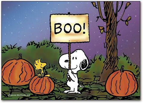 If you are from the North, you will get where I am coming from. Great Pumpkin Charlie Brown, Charlie Brown Halloween, It's The Great Pumpkin, Peanuts Halloween, Snoopy Halloween, Charlie Brown Snoopy, Peanuts Cartoon, Snoopy Wallpaper, Snoopy Quotes