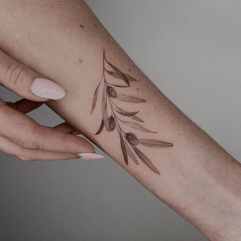 Olive Tree Tattoo For Women, Olive Branches Tattoo, Fine Line Olive Branch Tattoo, Olives Aesthetic, Barbell Tattoo, Aesthetic Tats, Olive Drawing, Olive Tree Tattoo, Rosemary Tattoo