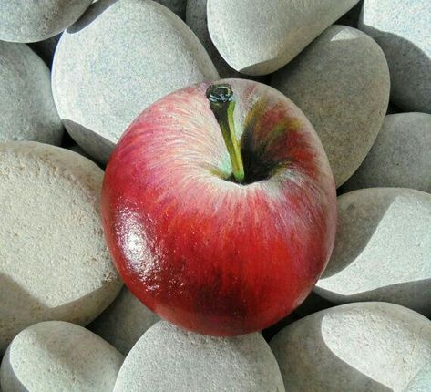 apple painted #rock Painted Apple, Apple Painting, Rock And Pebbles, Hand Painted Stones, Paint Rock, Pet Rocks, Stone Crafts, Rock Painting Art, Hand Painted Rocks