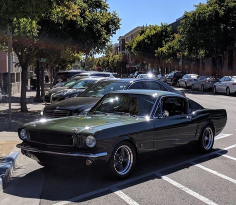 1975 Ford Mustang, 1960 Ford Mustang, 1970 Mustang Fastback, 90s Mustang, 65 Ford Mustang, Old Mustang, Mustang 65, 1979 Ford Mustang, Classic Mustangs