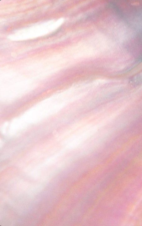 Mother Of Pearl Color Palette, Pearlescent Aesthetic, Pink Mermaid Aesthetic, Pearl Pink Color, Pearl Aesthetic, 7 Seas, Mermaid Aesthetic, Pink Mermaid, Pink Metallic