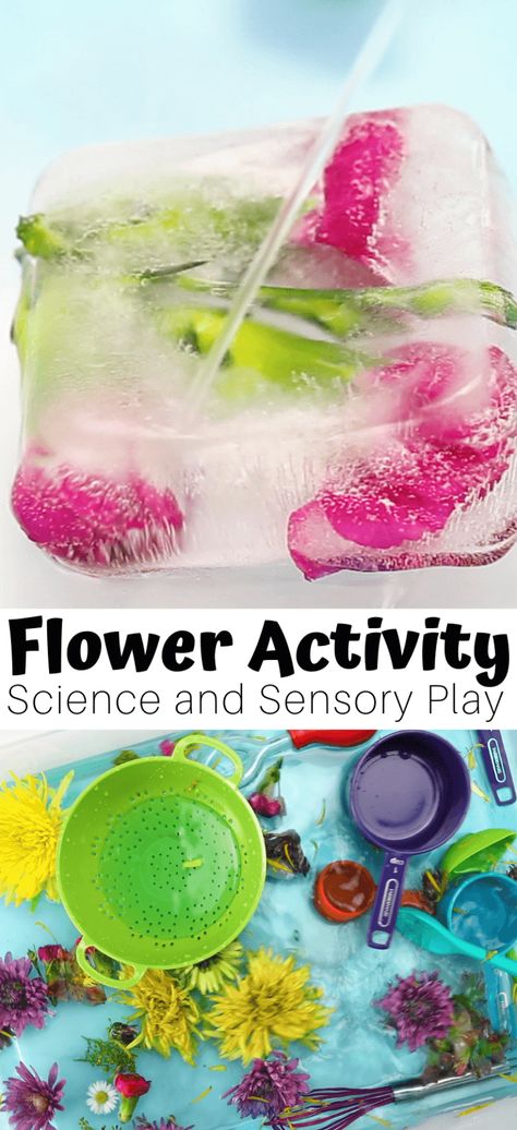 Daycare Spring Activities, Letter F Science For Preschoolers, Spring Time Toddler Activities, Spring Science For Toddlers, Spring Provocations For Preschool, Flowers Activity Preschool, Planting Activities For Toddlers, Plant Toddler Activities, Flower Provocations