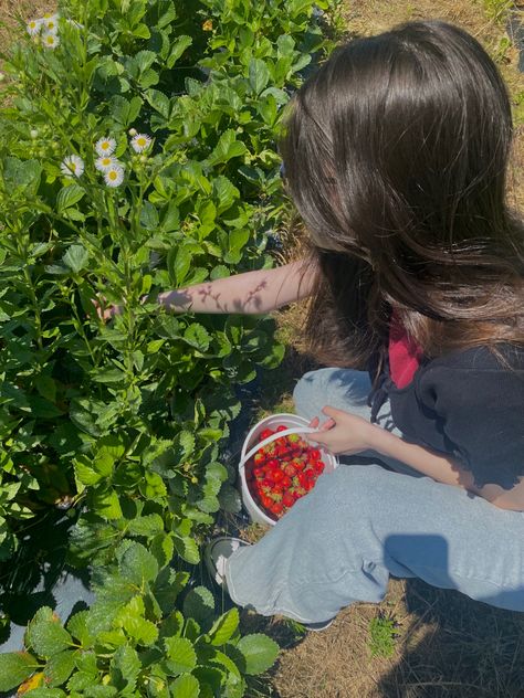 Strawberry Girlfriend, Strawberry Farm Photo Shoot, Strawberry Vibes Aesthetic, Kebun Strawberry, Berry Picking Photoshoot, Berry Picking Aesthetic, Strawberry Picking Aesthetic, Strawberry Girl Aesthetic, Strawberry Picking Photography