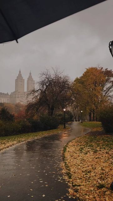 Simon & Jen on Instagram: "A clip from last November in New York. We got caught in the rain and it felt as if we had all of Central Park to ourselves…" November In New York, Rainy Nyc, November Aesthetic, Caught In The Rain, November Rain, In November, In The Rain, Central Park, Rainy Days