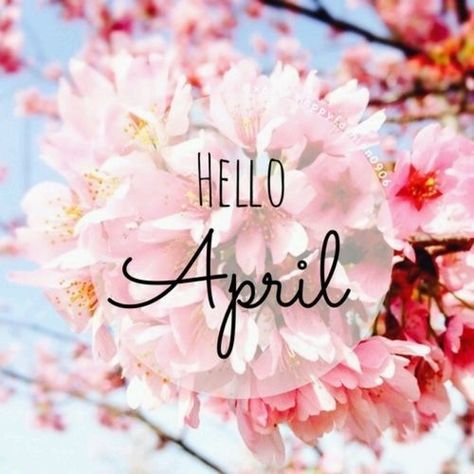 Hello April april hello april april quotes happy april April Images, Neuer Monat, April Quotes, April April, Seasons Months, April Birth Flower, Heather Stillufsen, Hello April, Spring Quotes