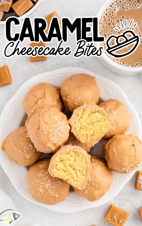 Mini Caramel Cheesecake, Protein Pops, Truffles Candy, Truffle Cookie, Caramel Cheesecake Bites, Cake Pucks, Chocolate Cheesecake Bites, Cheesecake Balls, Caramel Bites