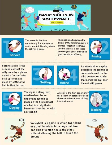 Basics Of Volleyball, Basic Volleyball Rules, Volleyball Basic Skills, Volleyball Infographic, Volleyball Rules And Regulations, Lego Infographic, Basic Skills In Volleyball, Rules Of Volleyball, Volleyball Basics