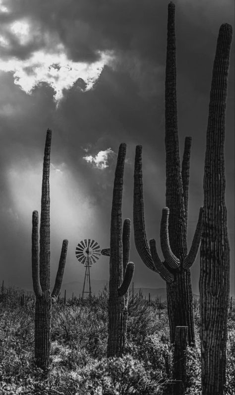 Boho Desert Aesthetic, Gothic Earthy Aesthetic, Western Phone Theme, Black And White Western Wallpaper, Black Western Aesthetic, Boho Western Wallpaper Iphone, Dark Cowboy Aesthetic, Dark Boho Aesthetic, Dark Western Aesthetic