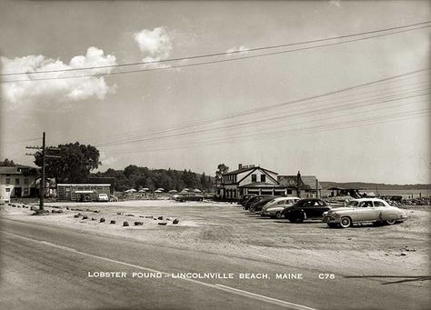 Lobster Pound, Lincolnville Beach  40. Still a favorite! Lincolnville Maine, Hart Island, Maine Travel, State Of Maine, Maine Lobster, Remote Island, Coastal Town, The Lobster, Coastal Towns