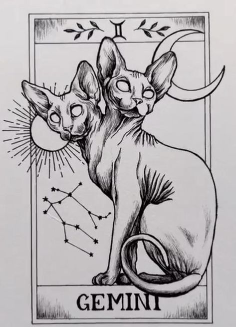 Sphynx Tattoo, Sphynx Cat Tattoo, Sphinx Tattoo, Tattoo Apprentice, Bday Cards, Sphynx Cat, Sphynx, Blackwork Tattoo, Cat Tattoo