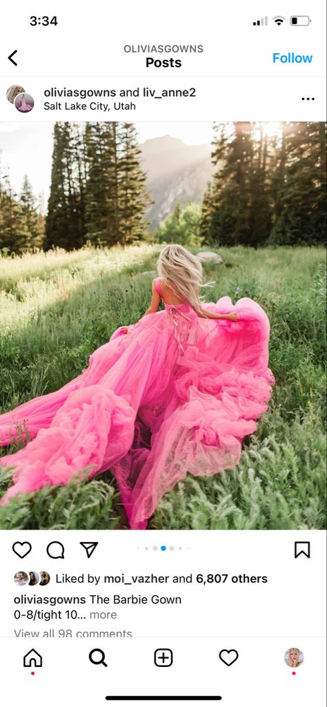 Big Fluffy Dress Photoshoot, Photoshoot In Pink Dress, Senior Picture Ideas Fancy Dress, Tulle Dress Senior Pictures, Field Photoshoot Big Dress, Big Flowy Dress Photography, Big Gown Photoshoot, Ball Gown Senior Pictures, Big Dress Photoshoot Poses