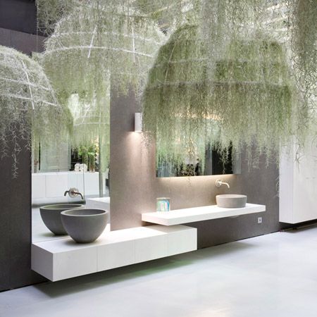 Tillandsia Usneoides, Plants Hanging, Relaxing Bathroom, Air Plant Display, Tillandsia Air Plant, Spanish Moss, Air Plant Holder, Plant Lighting, The Ceiling