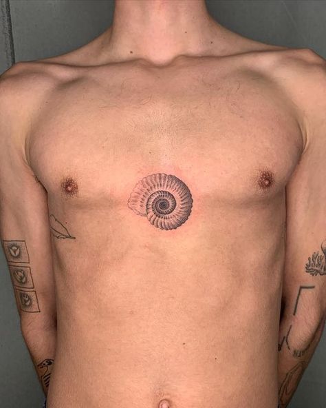 The Sundays Tattoo, Romania Tattoo Ideas, Mollusk Tattoo, Cowrie Tattoo, Spiral Elbow Tattoo, Mitochondria Tattoo, Out Of Body Art, Archaeology Tattoo, Shoulder Arm Tattoo