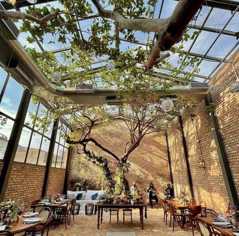 Backyard Restaurant, Greenhouse Restaurant, Cafe Design Inspiration, Greenhouse Cafe, Rooftop Restaurant Design, Glass Restaurant, Tree Restaurant, Bakery Shop Design, Modern Restaurant Design