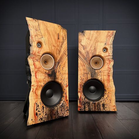 Treehaus Audiolab Field Coil Speakers Wood Speakers Design, Speaker Box Diy, Bluetooth Speakers Diy, Open Baffle Speakers, Diy Audio Projects, Wood Speakers, Wooden Speakers, Open Baffle, Speaker Projects