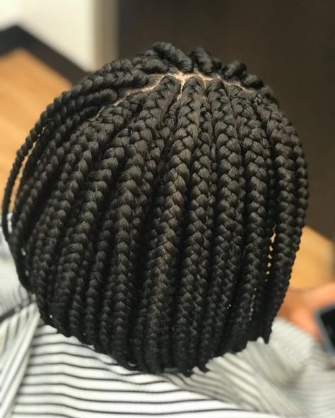 Short Box Braids Bob, Rubber Band Box Braids, Bob Box Braids Styles, Tree Braids Hairstyles, Box Braids Bob, Senegalese Twist Hairstyles, Bob Braids Hairstyles, Braids Locs, Afro Braids