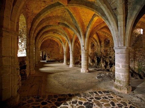 This is the interior of a underground Gothic prison.The basement of this Chillon Castle off the coast of Lake Geneva in Switzerland was the former location of a medieval  prison.  This space features ribbed vaults and huge rocks. Chillon Castle, Ribbed Vault, Castle Window, Castle Rooms, Castle Home, Stone Floors, House Paint Interior, Medieval Fortress, Architectural Engineering