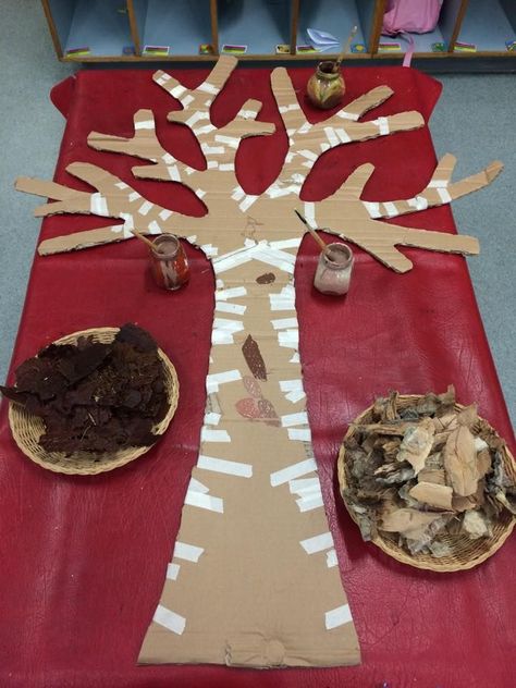 Preschool Displays, Tree Study, Creative Curriculum, Fall Preschool, Fall Crafts For Kids, Reggio Emilia, Nature Crafts, Autumn Activities, Preschool Art