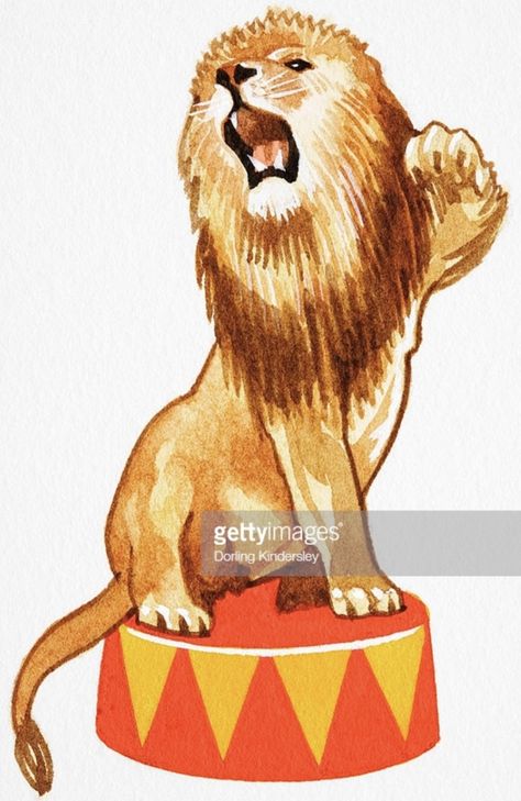 Circus Elephant Drawing, Air Cartoon, Lion Sitting, Circus Lion, Cat Footprint, Animal Body Parts, Panthera Leo, Lion Illustration, Leo Lion