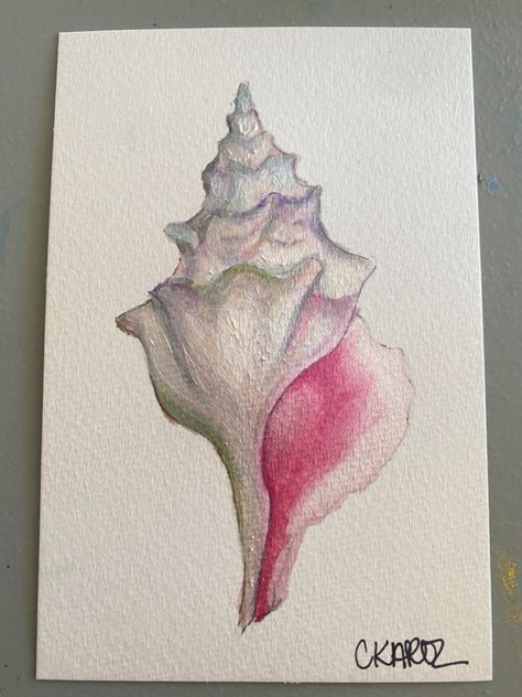 Watercolor Art Beginners, Shell Watercolor Painting, Sea Shell Painting Ideas, Water Colours Painting For Beginners, Water Colour Painting Ideas Inspiration, Sea Shell Drawing, Shells Watercolor, Pink Sketchbook, Seashell Watercolor