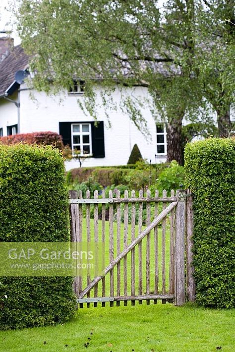 Hedge With Gate Entrance, Hedge With Gate, Stick Fence, Glebe House, Outdoor Curb Appeal, Cedar Hedge, Arbor Gate, Cornwall Garden, Garden Gate Design