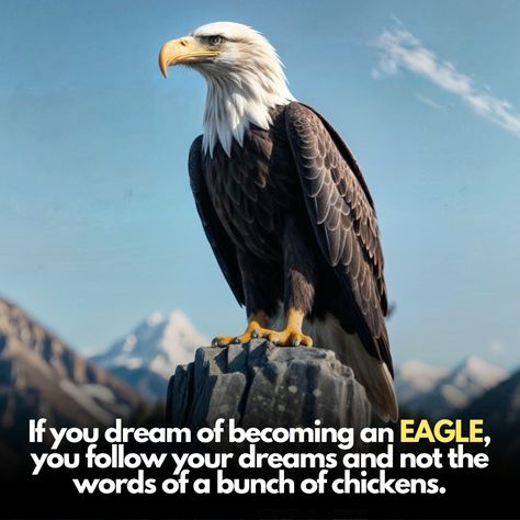 If you dream of becoming an EAGLE, you follow your dreams and not the words of a bunch of chickens. Be an EAGLE and win through your life against all odds.. . . . . . . . . #eagle #EagleAttitude #SoaringHigh #FearlessMindset #MajesticMentality #UnstoppableSpirit #BoldAndBrave #RiseAbove #FierceAndFocused #LimitlessPotential #KingOfTheSkies #dailyinspiration #motivationmonday #nevergiveup #mindsetiseverything #positivity #goalgetter #selfimprovement #successmindset #grindmode #hustlehard Eagle Quotes, Eagles Quotes, Notes Quotes, Vision Board Quotes, Biker Quotes, Against All Odds, Board Quotes, Follow Your Dreams, Hustle Hard