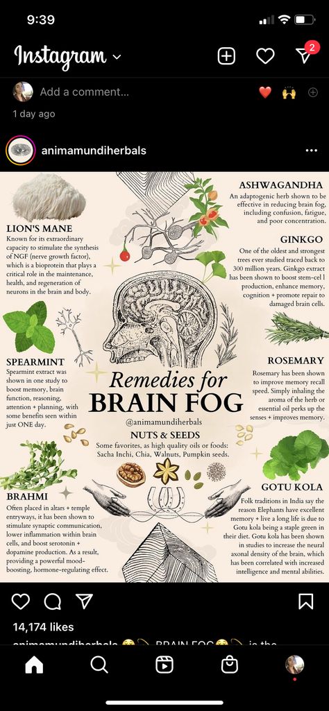 Herbs For Concentration, Herbs For Dizziness, Herbs For Energy Boost, Herbalism For Beginners Natural Remedies, Herbs For Focus And Concentration, Remedies For Brain Fog, Herbs For Brain Fog, Herb Cards, Brain Fog Remedies