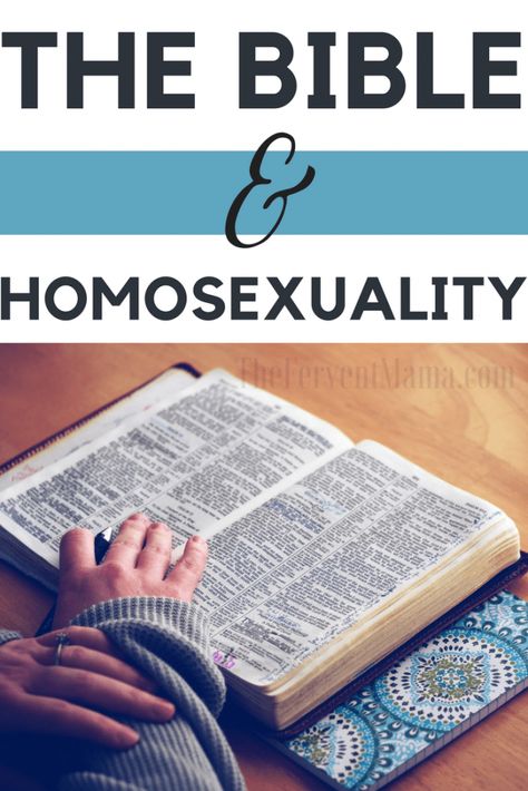 Christ, The Bible, and Homosexuality - The Fervent Mama: After modest mom goes viral for canceling my Disney vacation? Well, my views haven't changed. Find out why in Christ, the Bible, and homosexuality. Reading Your Bible, Modest Mom, Bible Things, Bible Truths, Bible Topics, Bible Study Topics, Bird Quotes, Quotes Bible, Bible Study Lessons